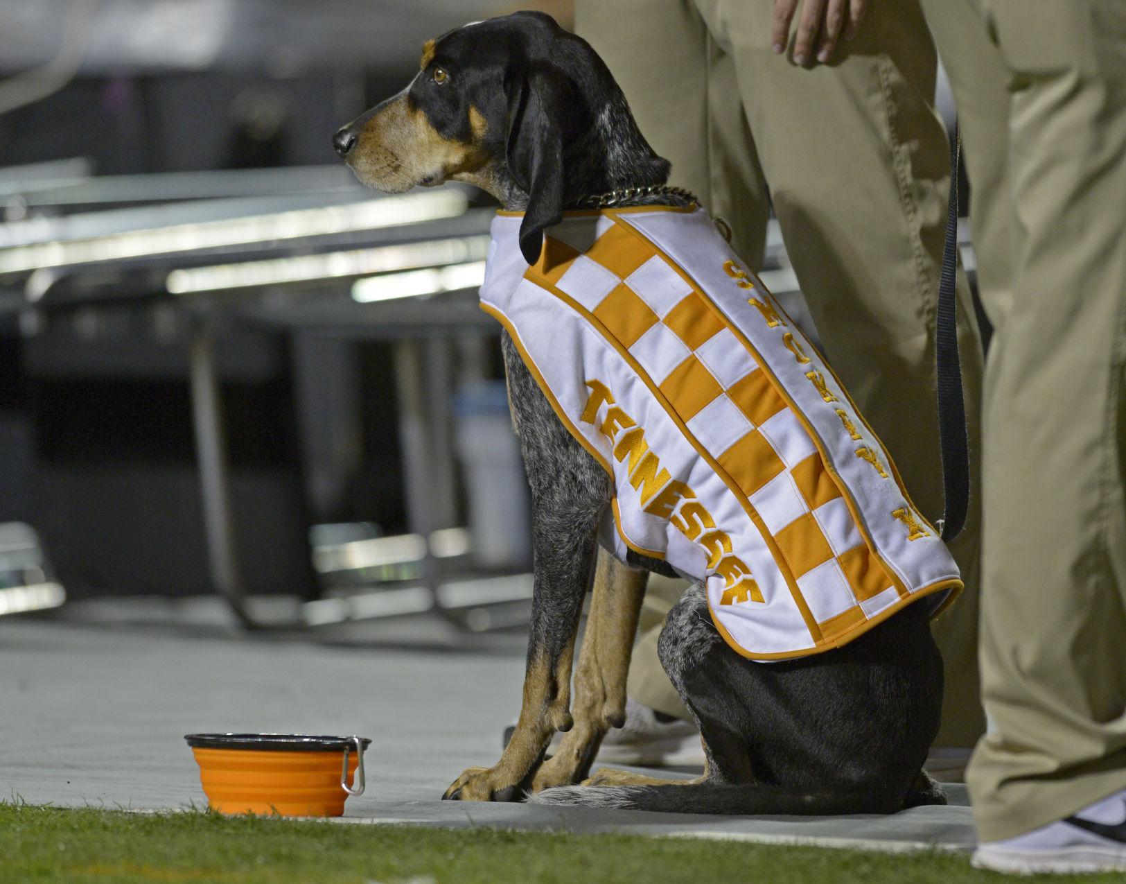 lsutenn.111917 HS 855.JPG